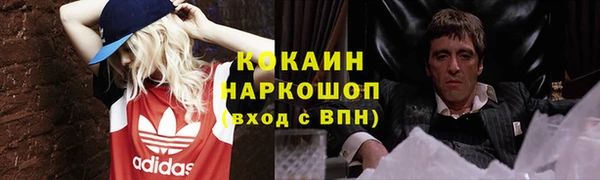 ПСИЛОЦИБИНОВЫЕ ГРИБЫ Алагир