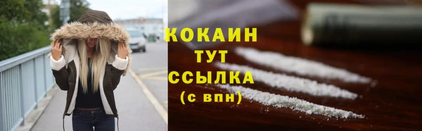 крисы Ачинск