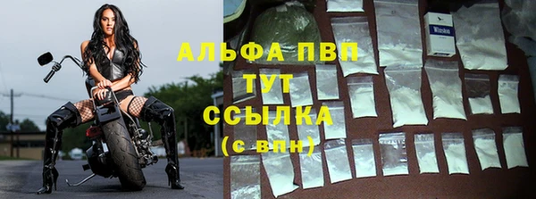 крисы Ачинск